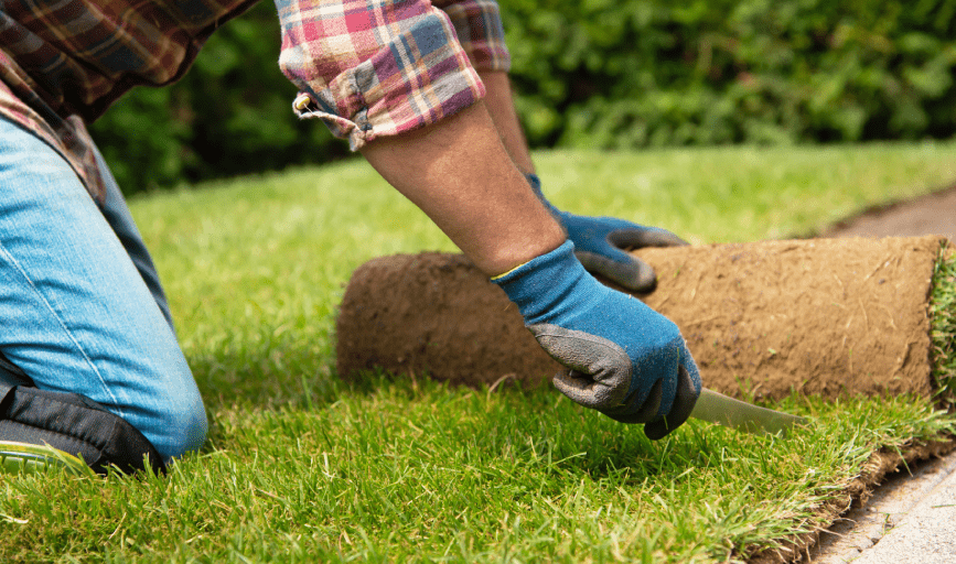 SOD INSTALLATION